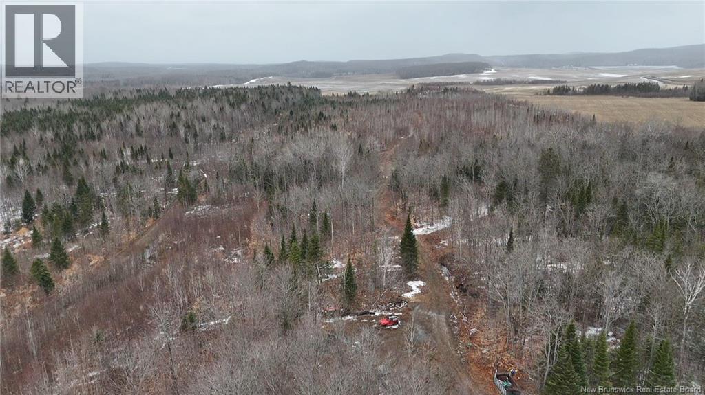89 Lebel Road - 19