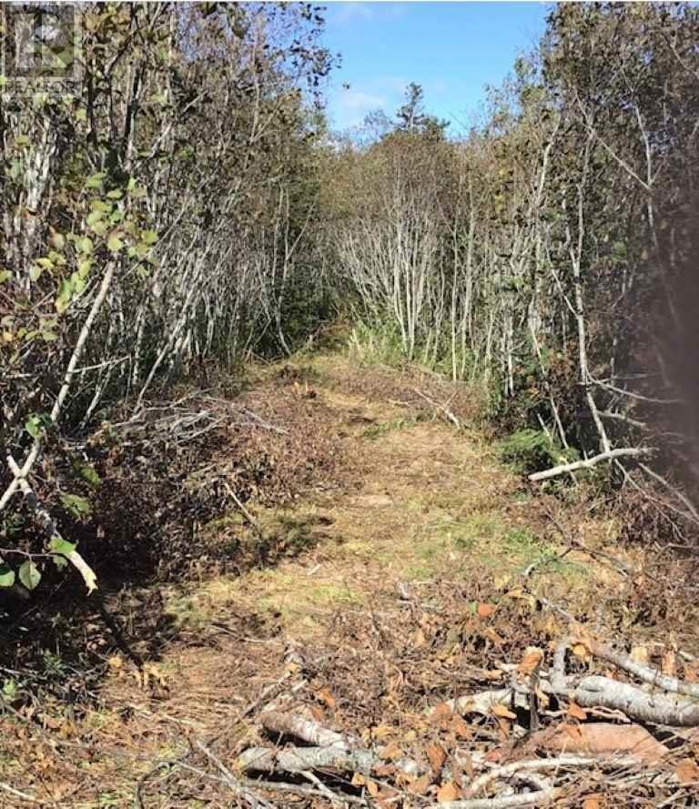 Property photo of Lot 1 Lake Doucette Road