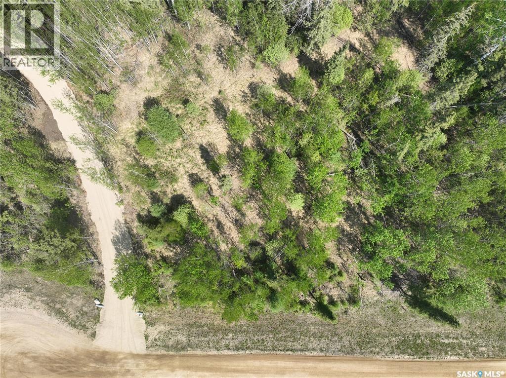 6 Roy Stevens BAY - photo 4