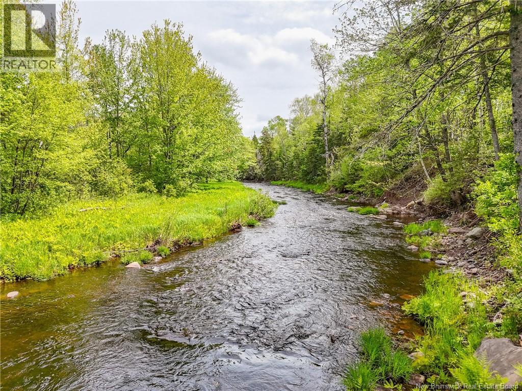 584 Whittaker Road - 45