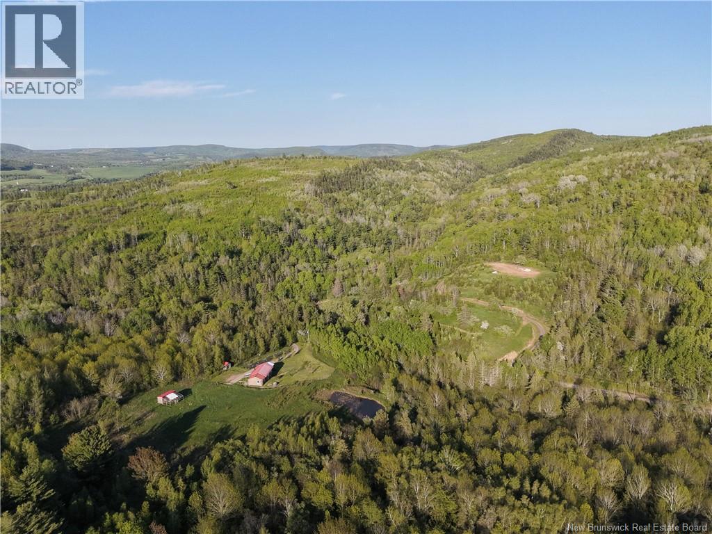 236 Mill Brook Road - 32