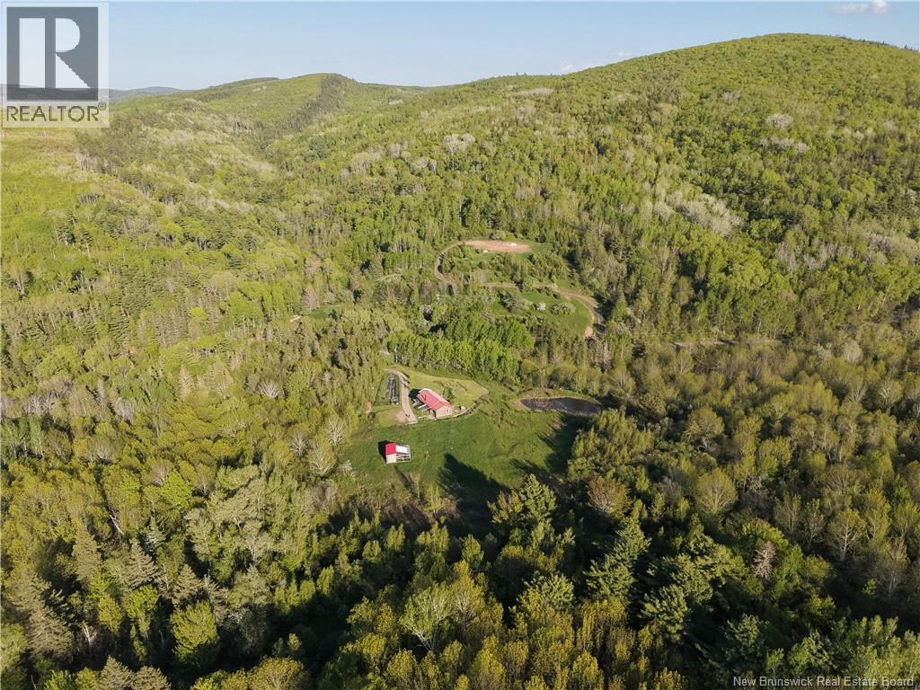 236 Mill Brook Road - 35