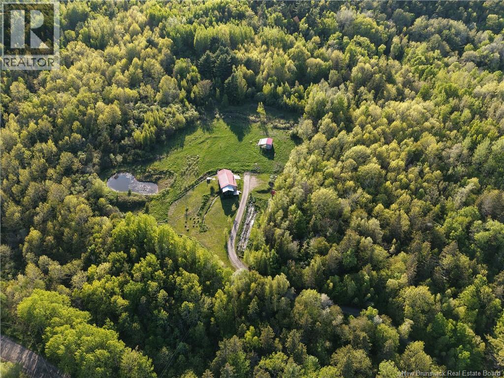 236 Mill Brook Road - 36
