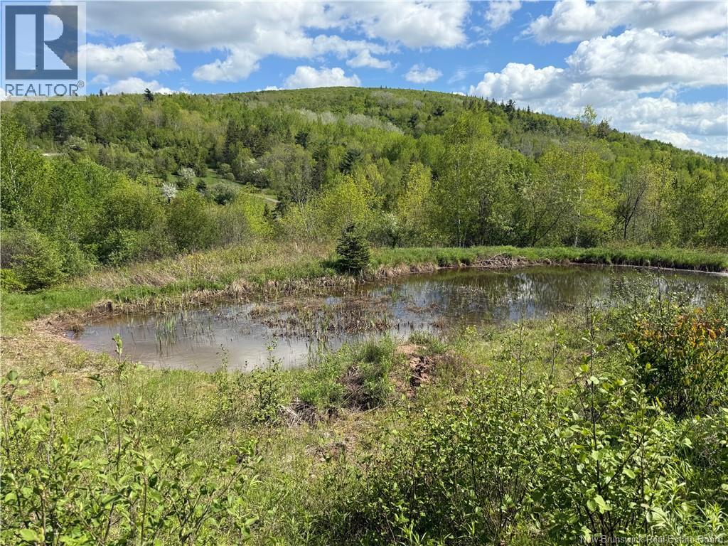 236 Mill Brook Road - 45