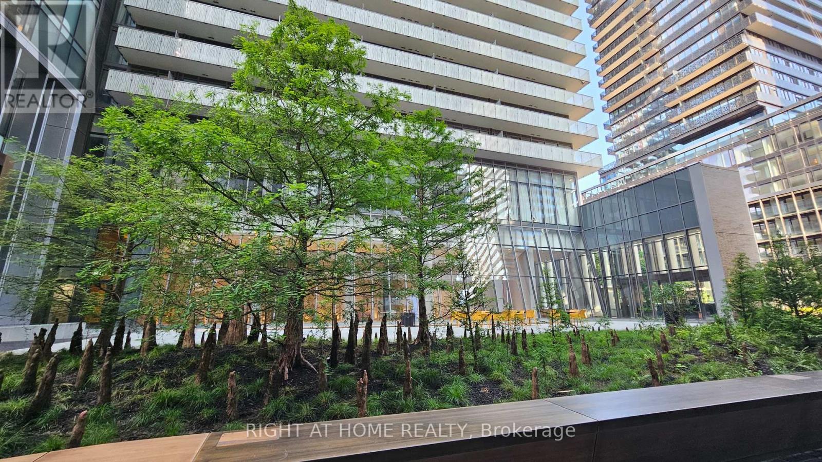 Courtyard Garden