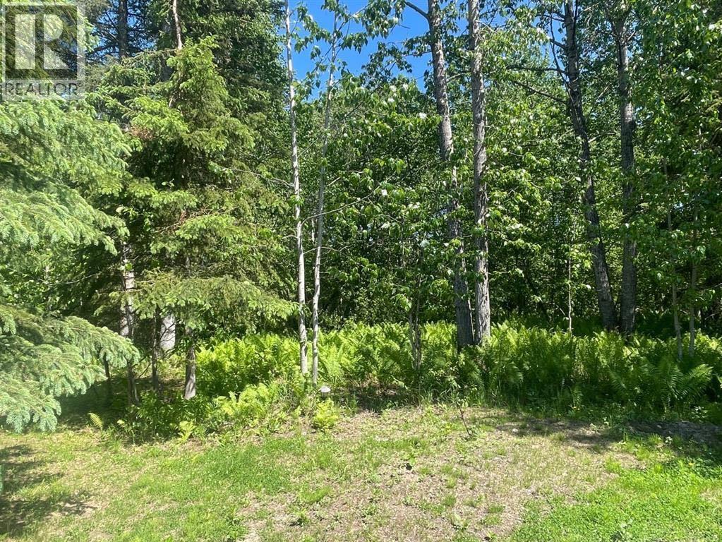 Lot 100 Willow Drive — photo 6