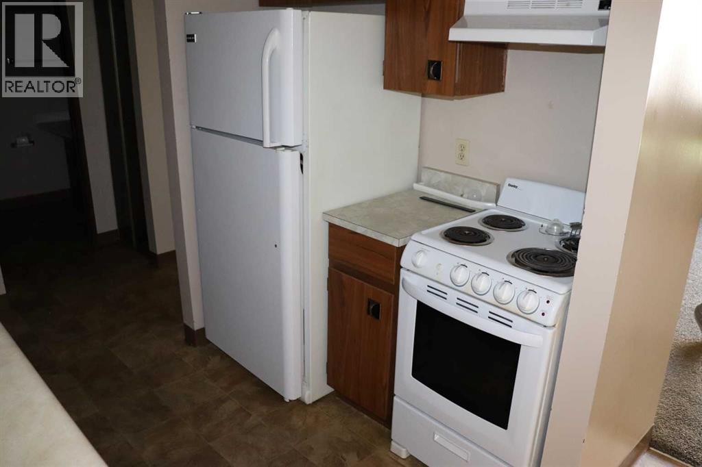 #205 1221B West Haven Drive - 18