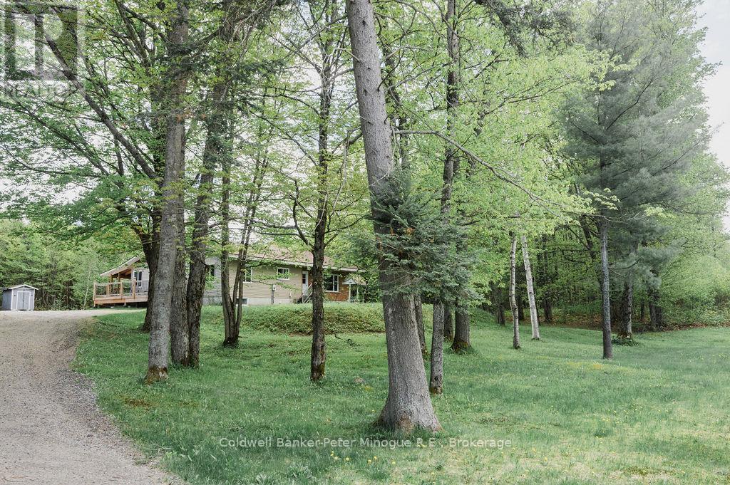 189 PICKEREL LAKE ROAD - 30