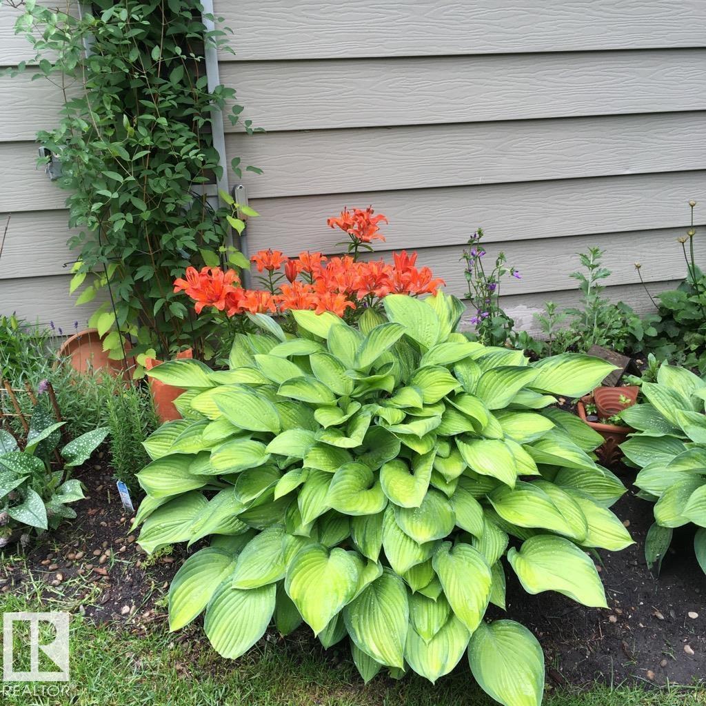 36 FENWICK CR — photo 45