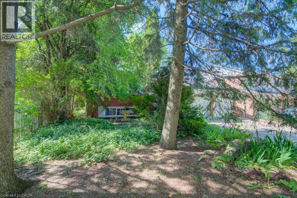 60 MAYFIELD Avenue - Image 2