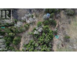 3606 County Road 620, North Kawartha, ON K0L1A0 Photo 10