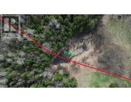 3606 County Road 620, North Kawartha, ON K0L1A0 Photo 11