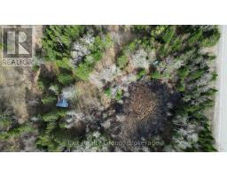 3606 County Road 620, North Kawartha, ON K0L1A0 Photo 9