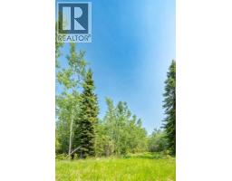 Lot 16 Estates Of East Mountain, Rural Woodlands County, AB T7S1N9 Photo 6