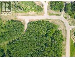 Lot 16 Estates Of East Mountain, Rural Woodlands County, AB T7S1N9 Photo 8