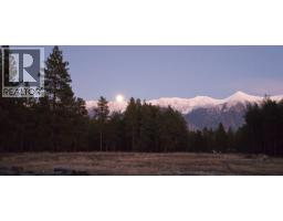 5553 93/95 Highway, Ta Ta Creek, BC V0B2E0 Photo 11