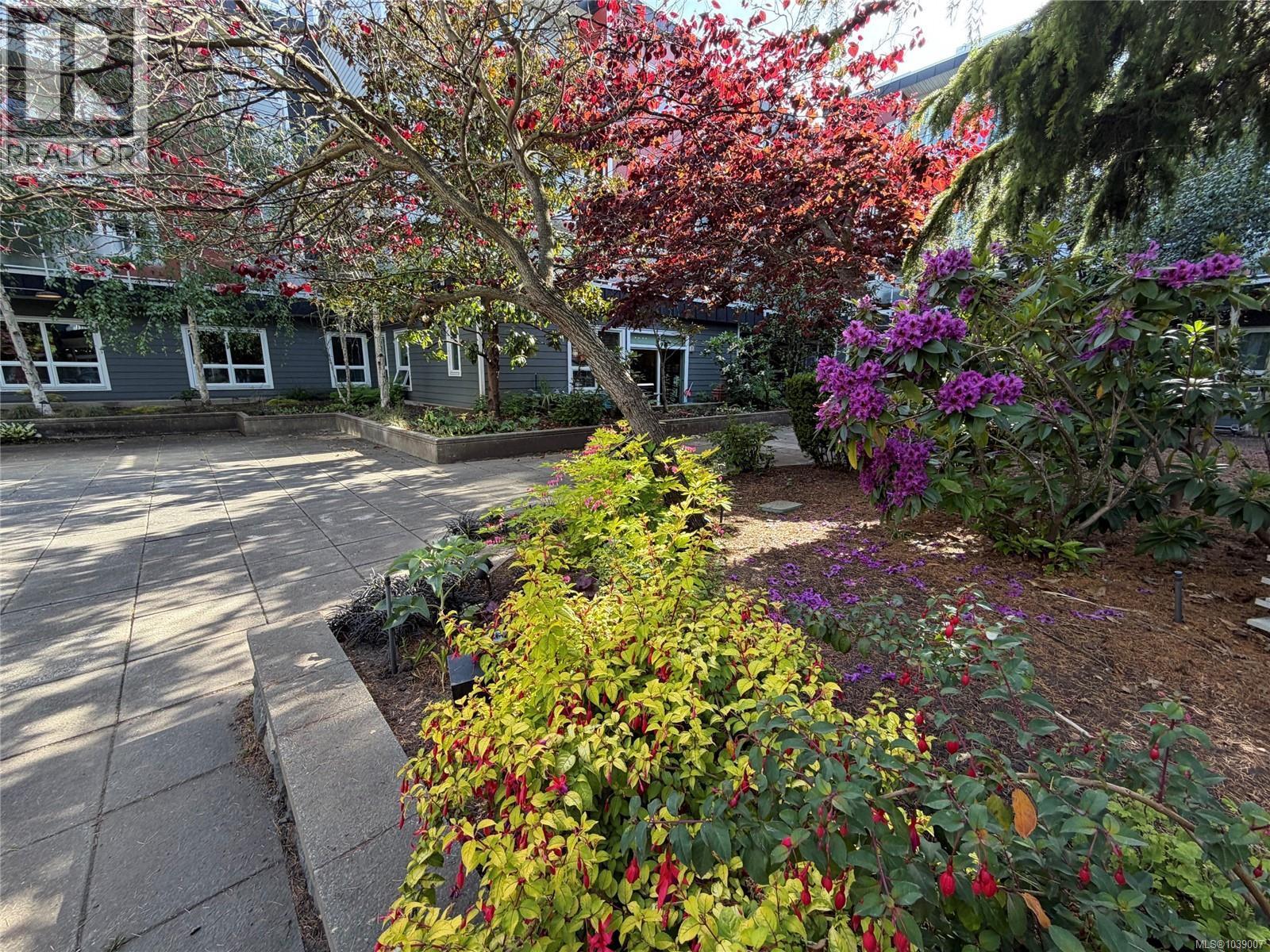 #210 1315 Esquimalt Rd - 65