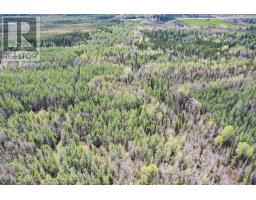 Fauquier-strickland - 319 Highway 11, Kapuskasing, ON P0L1G0 Photo 9
