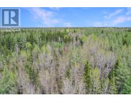 Fauquier-strickland - 319 Highway 11, Kapuskasing, ON P0L1G0 Photo 12