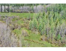 Fauquier-strickland - 319 Highway 11, Kapuskasing, ON P0L1G0 Photo 18