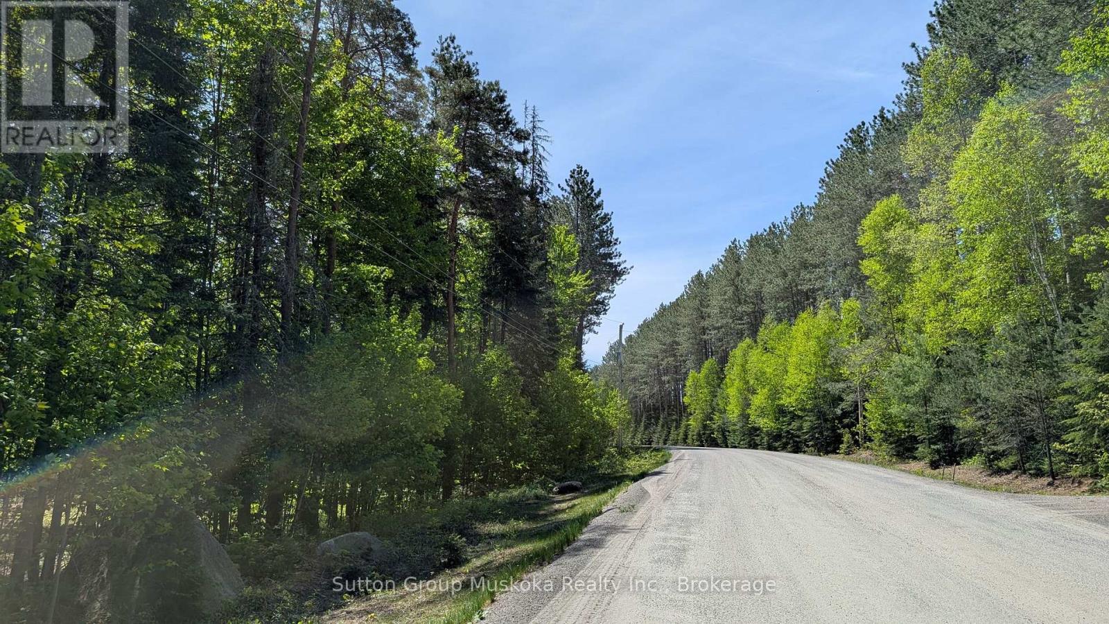 LOT 1 RED PINE TRAIL