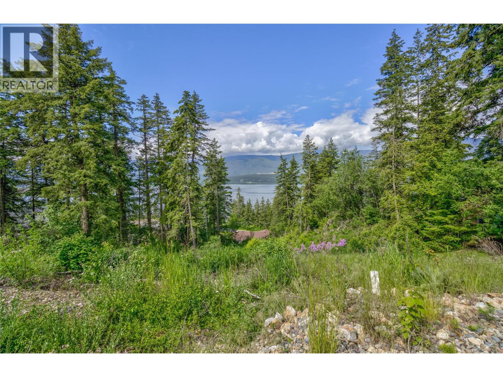 3541 20 Street NE, Salmon Arm