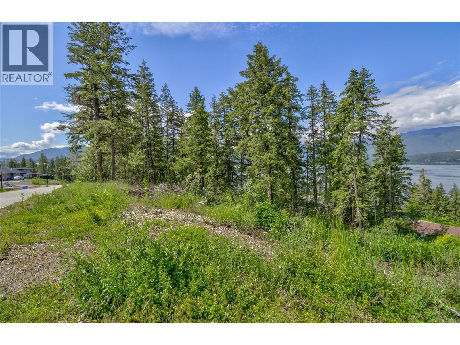 3541 20 Street NE, Salmon Arm