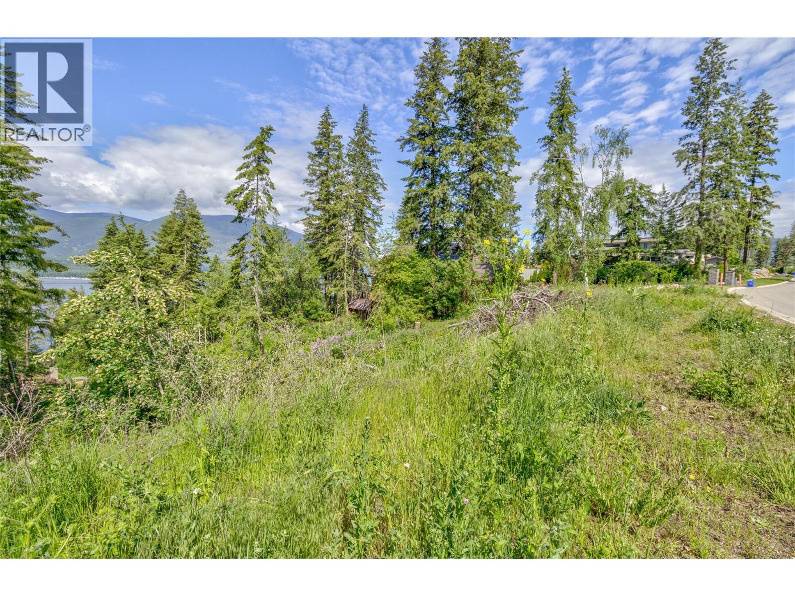 3541 20 Street NE, Salmon Arm