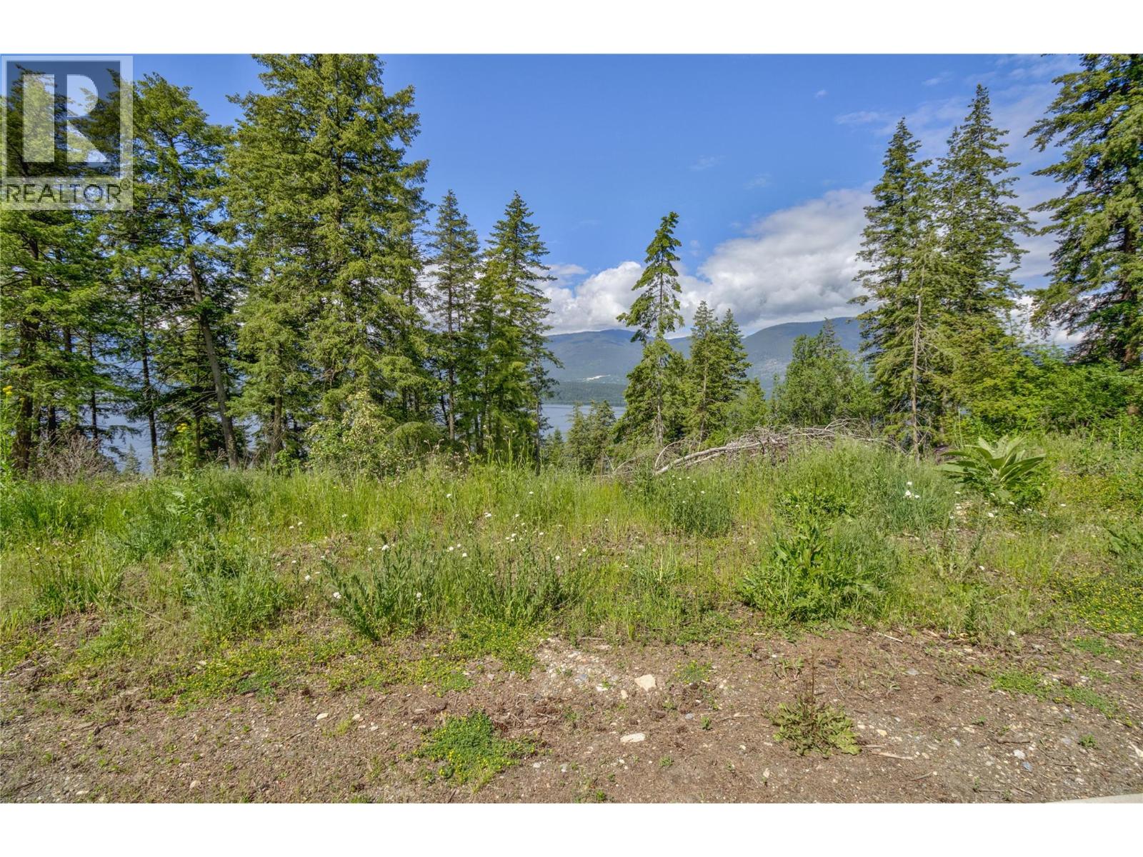 3541 20 Street NE, Salmon Arm