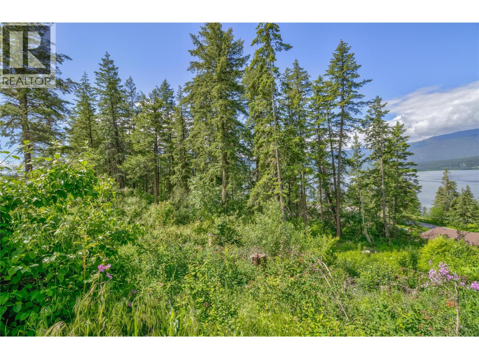 3541 20 Street NE, Salmon Arm