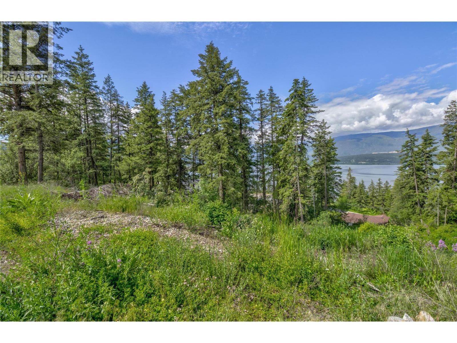 3541 20 Street NE, Salmon Arm