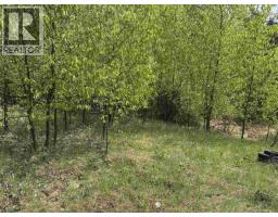 6348 Rosette Lake Road, Likely, BC V0L1N0 Photo 20