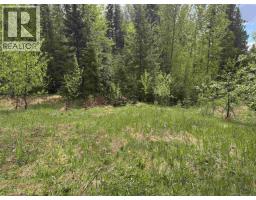 6348 Rosette Lake Road, Likely, BC V0L1N0 Photo 22