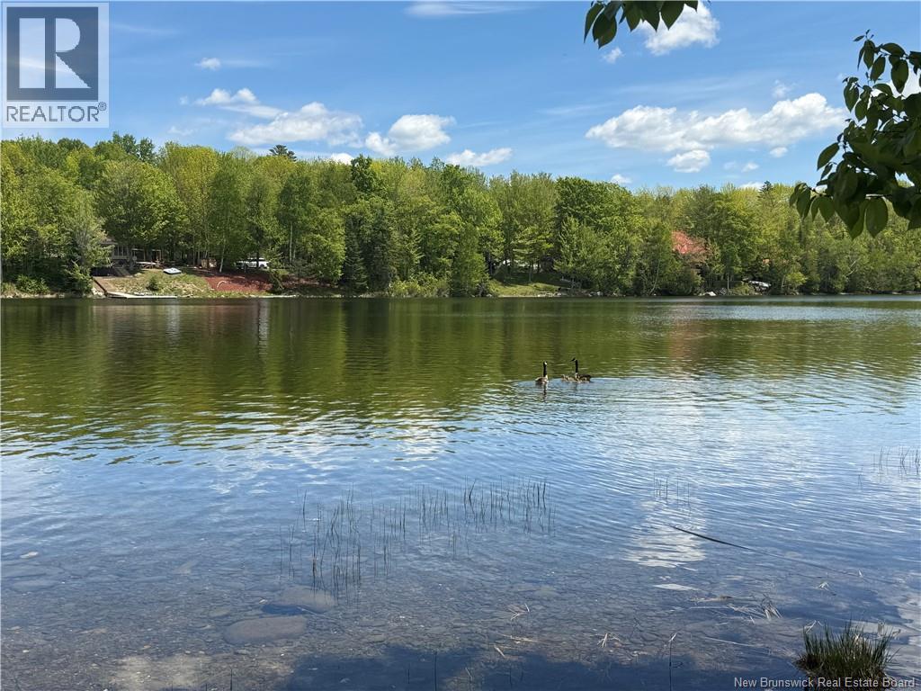 55 Stevenson Lane - Image 4