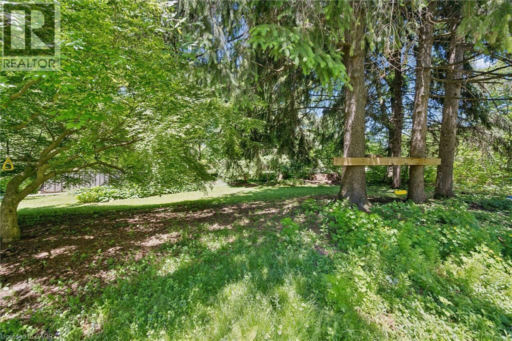 74 HOMEWOOD Avenue - 35