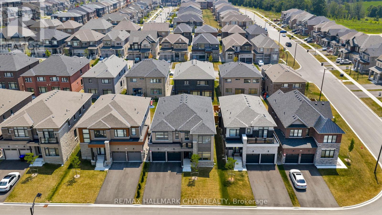 43 CALYPSO AVENUE - 41
