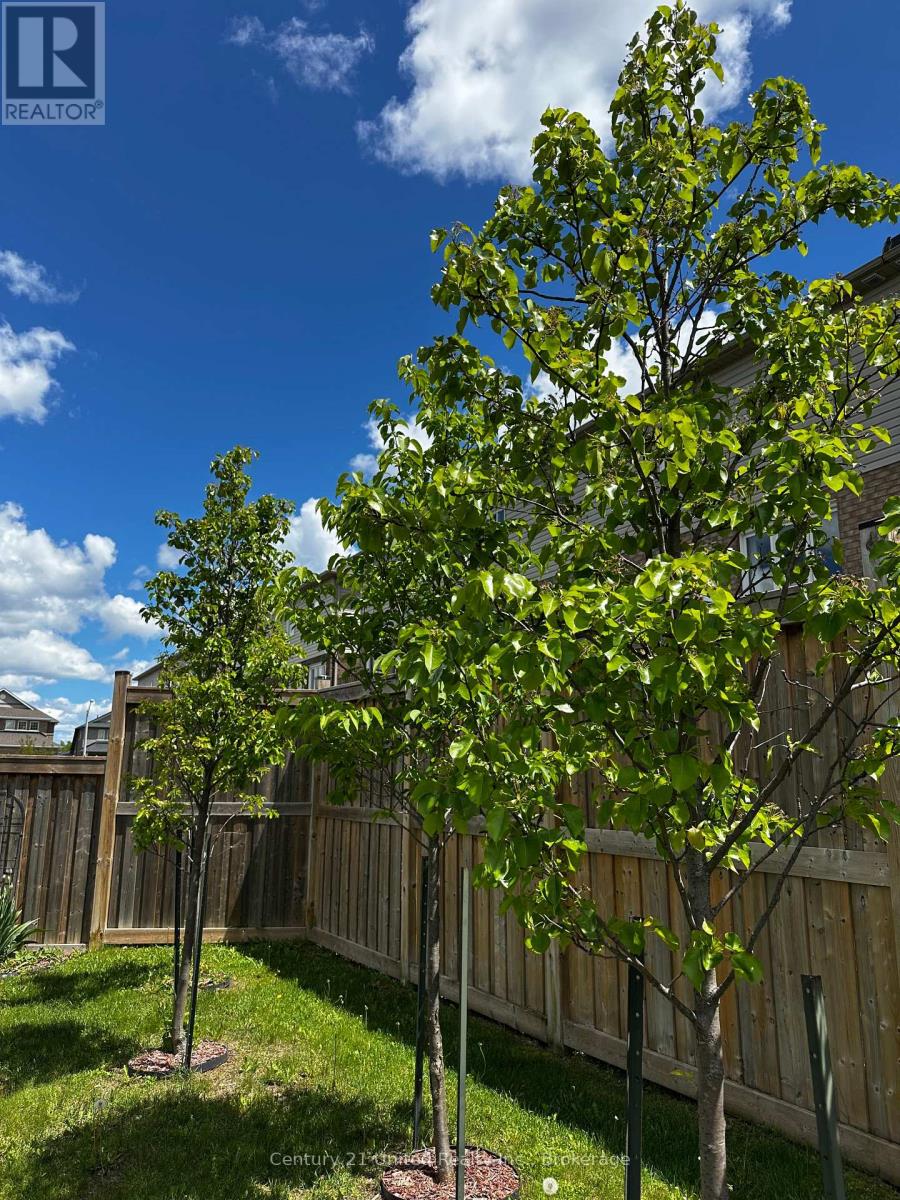 14 SUMMER LANE - 36