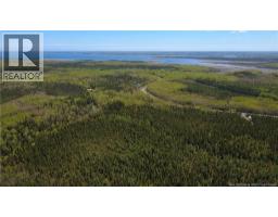 393 Route 320, Anse Bleue, NB E8N2B9 Photo 8