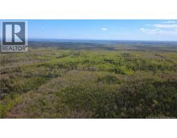 393 Route 320, Anse Bleue, NB E8N2B9 Photo 14