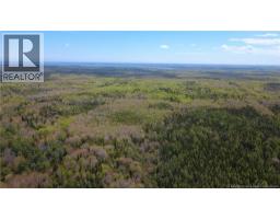 393 Route 320, Anse Bleue, NB E8N2B9 Photo 13