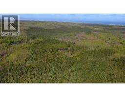 393 Route 320, Anse Bleue, NB E8N2B9 Photo 6