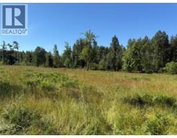 Lot A Frances Rd, Merville, BC V0R2M0 Photo 8