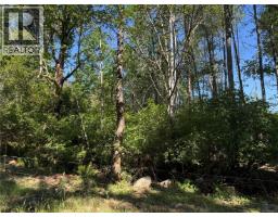 Lot A Frances Rd, Merville, BC V0R2M0 Photo 7