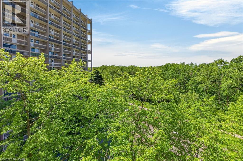 #435 350 QUIGLEY Road - 19