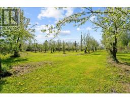 2263 Hwy 2, Clarington, ON L1C3K7 Photo 45