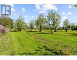 2263 Hwy 2, Clarington, ON L1C3K7 Photo 7