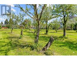 2263 Hwy 2, Clarington, ON L1C3K7 Photo 17