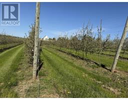 36 Stan Pearson Road, Stanley Bridge, PE C0B1M0 Photo 7