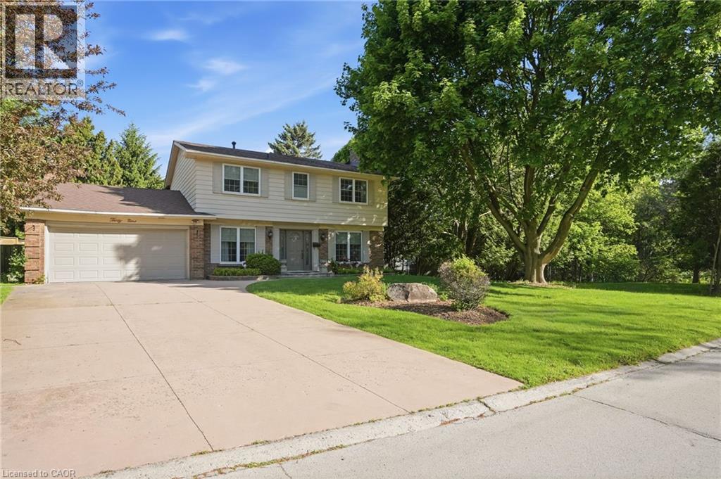 39 MAUREEN Avenue - 44