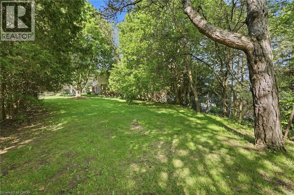 39 MAUREEN Avenue - 47
